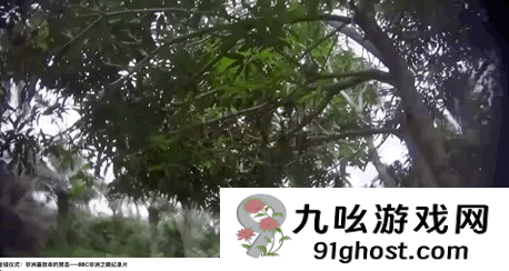 英国纪录片背后的21世纪恐怖人祭