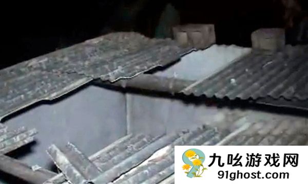 巴西男子屋里睡觉被天降巨牛砸死：同床妻子毫发无伤