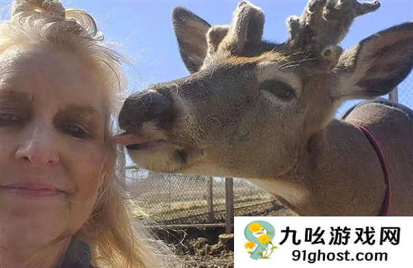 美国女子热衷救鹿12年 却惨遭公鹿猛烈袭击致死！