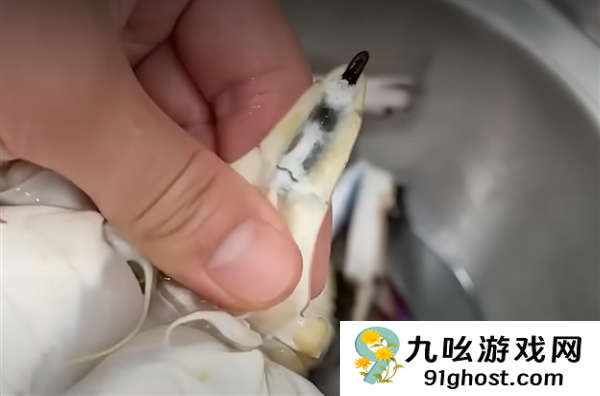 它从胸口排便 用眼睛尿尿！你还很爱吃