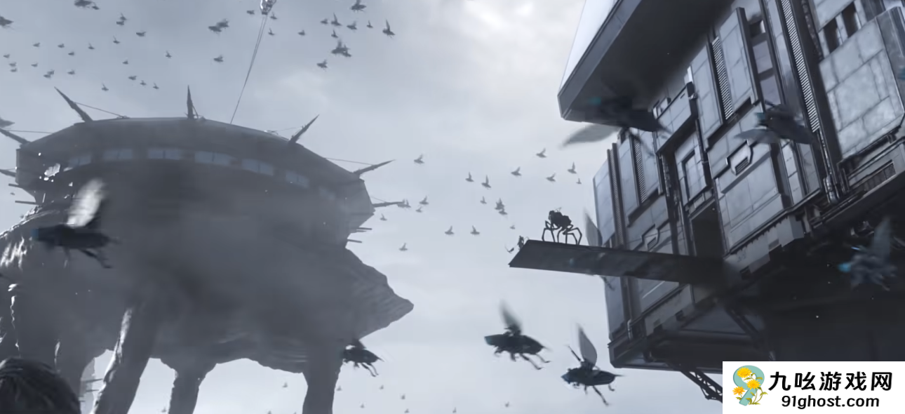 凡应隆舶有什么作用