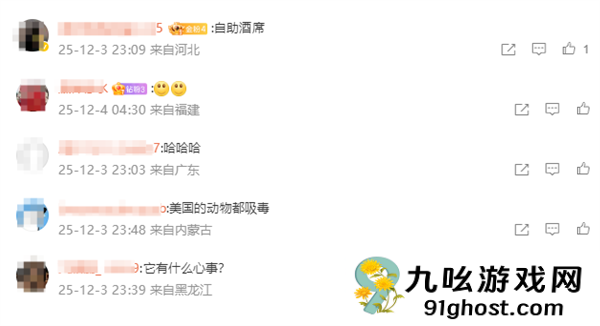 美国一浣熊大闹酒铺 偷喝烈酒后醉倒厕所 超萌姿态逗笑网友