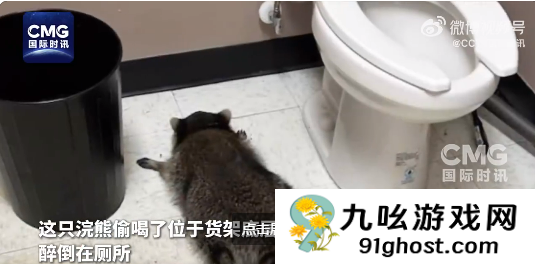 美国一浣熊大闹酒铺 偷喝烈酒后醉倒厕所 超萌姿态逗笑网友