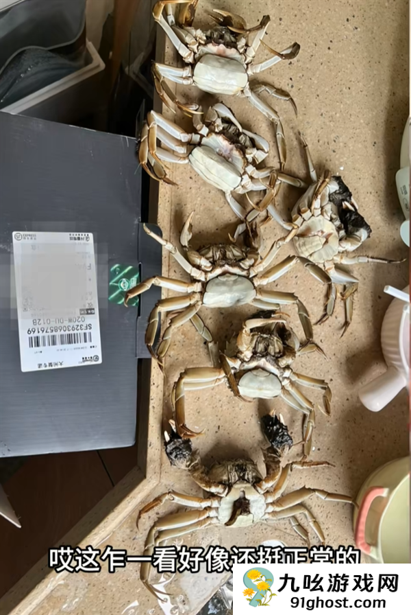 顾客AI合成死螃蟹要求退款 最新进展来了：被拘8日 195元全额追回