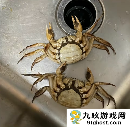 顾客AI合成死螃蟹要求退款 最新进展来了：被拘8日 195元全额追回