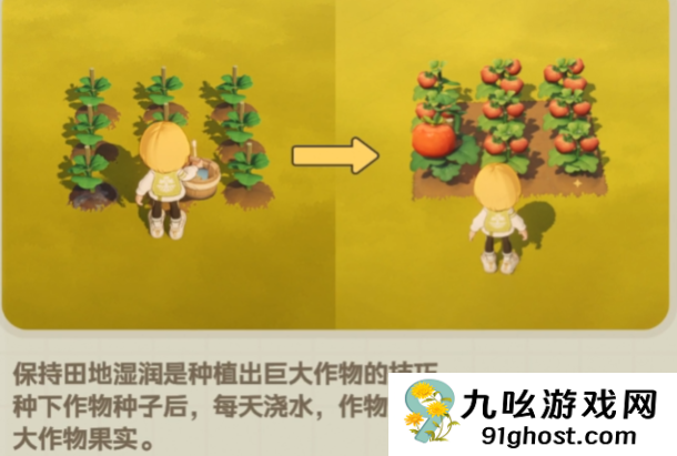 星布谷地烹饪技巧全解析