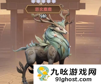 巨神军师岁运详解