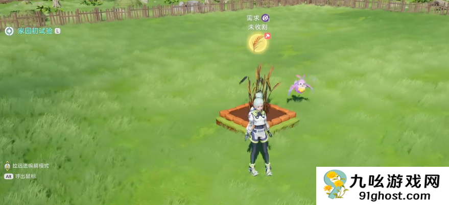 伊莫种菜怎么玩